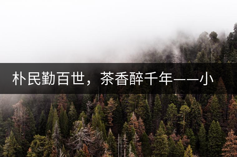 樸民勤百世，茶香醉千年——小戶賽古寨