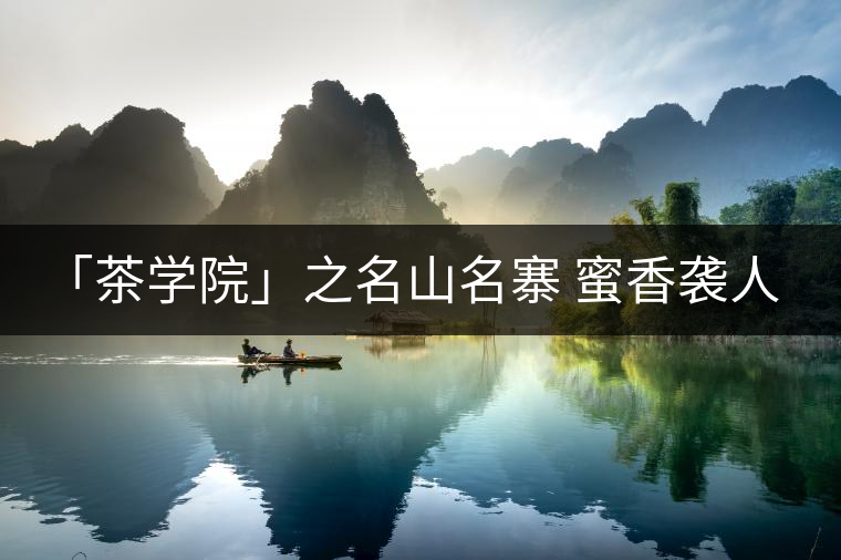 「茶學(xué)院」之名山名寨 蜜香襲人 柔順細(xì)滑——小戶賽 「茶學(xué)院」之名山名寨 蜜香襲人 柔順細(xì)滑——小戶賽