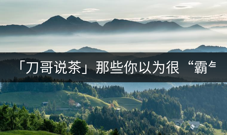 「刀哥說(shuō)茶」那些你以為很“霸氣”的茶，根本就不是...