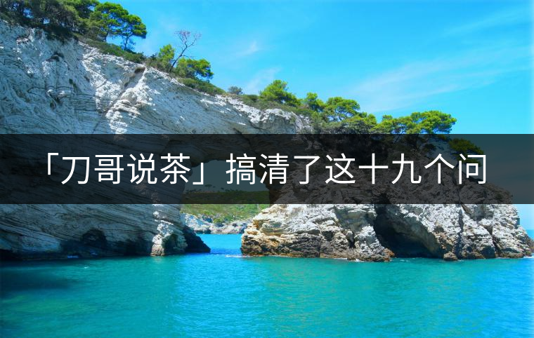 「刀哥說茶」搞清了這十九個問題，您就是熟茶專家