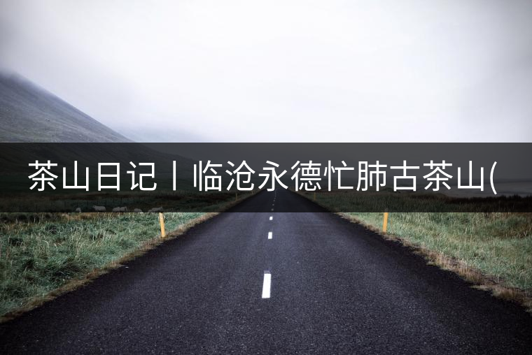 茶山日記丨臨滄永德忙肺古茶山(2)茶山日記丨臨滄永德忙肺古茶山(2) 茶山日記丨臨滄永德忙肺古茶山(2)茶山日記丨臨滄永德忙肺古茶山(2)