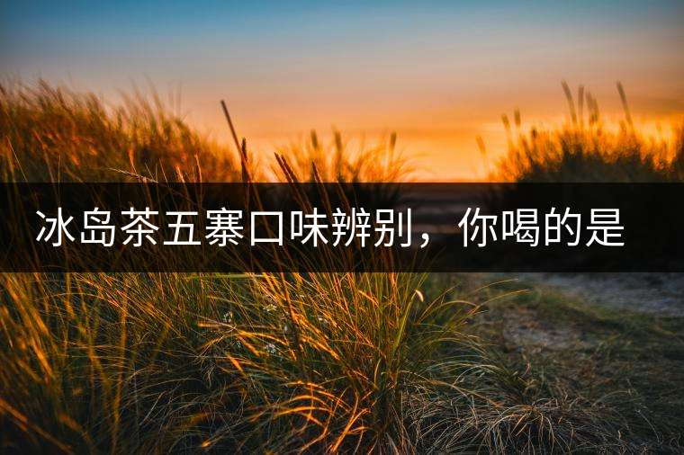 冰島茶五寨口味辨別，你喝的是正宗冰島茶嗎?冰島茶五寨口味辨別，你喝的是正宗冰島茶嗎？