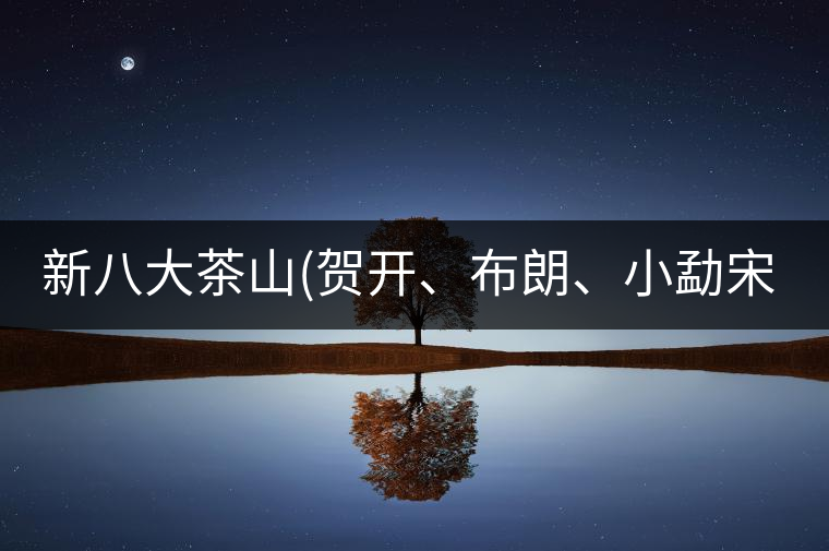 新八大茶山(賀開(kāi)、布朗、小勐宋、巴達(dá))講解二新八大茶山（賀開(kāi)、布朗、小勐宋、巴達(dá)）講解二