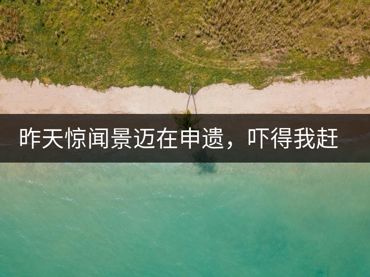 昨天驚聞景邁在申遺，嚇得我趕緊拿出景邁茶……昨天驚聞景邁在申遺，嚇得我趕緊拿出景邁茶……