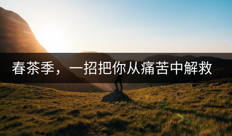 春茶季，一招把你從痛苦中解救出來