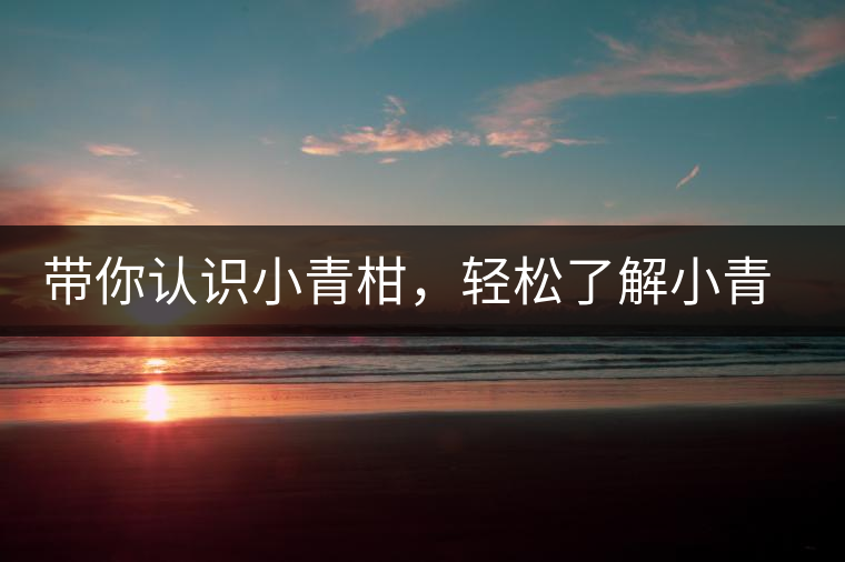 帶你認(rèn)識小青柑，輕松了解小青柑的前世今生