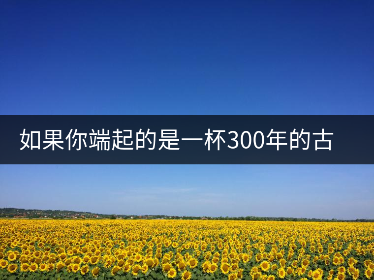 如果你端起的是一杯300年的古樹茶，那會是一種怎樣的心境？