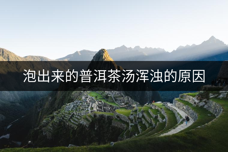 泡出來的普洱茶湯渾濁的原因 泡出來的普洱茶湯渾濁的原因