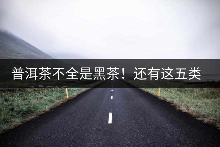 普洱茶不全是黑茶！還有這五類茶，現(xiàn)在知道還不算晚