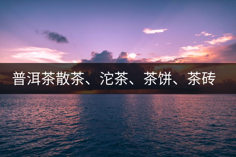 普洱茶散茶、沱茶、茶餅、茶磚哪種更好？