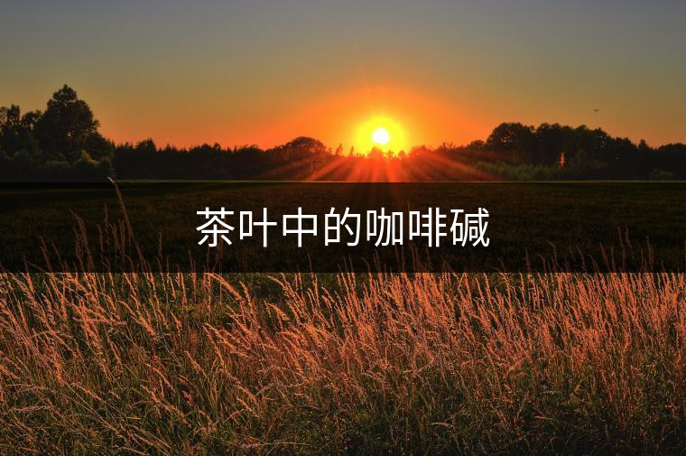 茶葉中的咖啡堿 茶葉中的咖啡堿