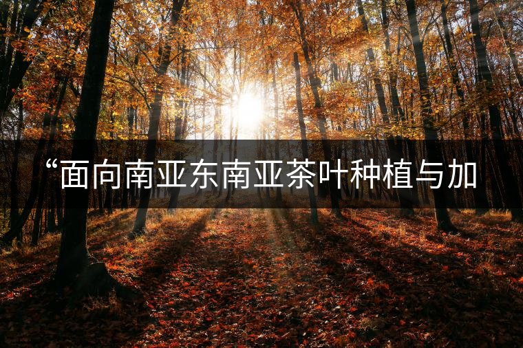 “面向南亞東南亞茶葉種植與加工技術培訓班”在昆開班 “面向南亞東南亞茶葉種植與加工技術培訓班”在昆開班