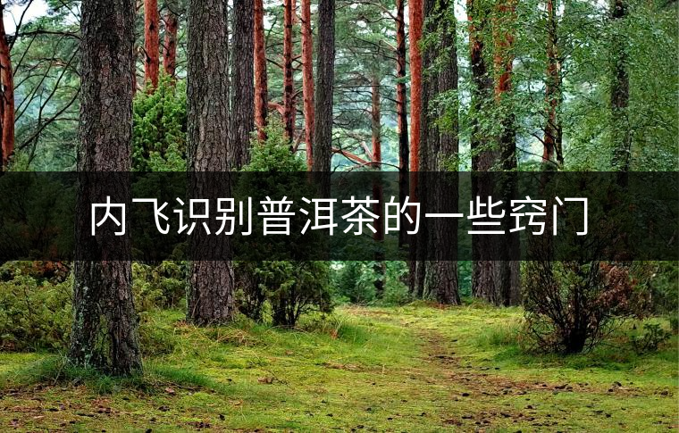 內飛識別普洱茶的一些竅門 內飛識別普洱茶的一些竅門