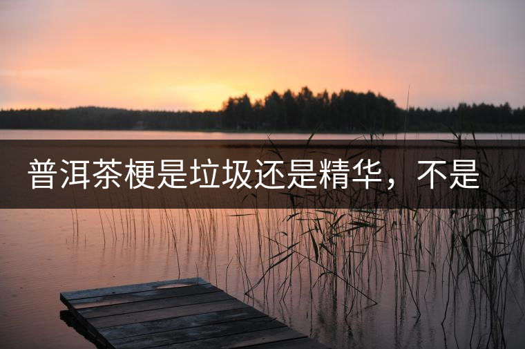 普洱茶梗是垃圾還是精華,不是一個人說的算 普洱茶梗是垃圾還是精華,不是一個人說的算