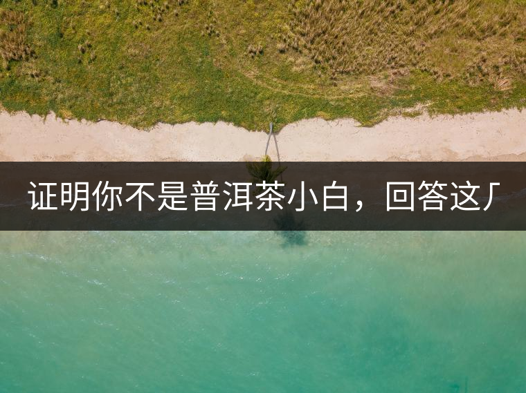 證明你不是普洱茶小白，回答這幾個問題先！