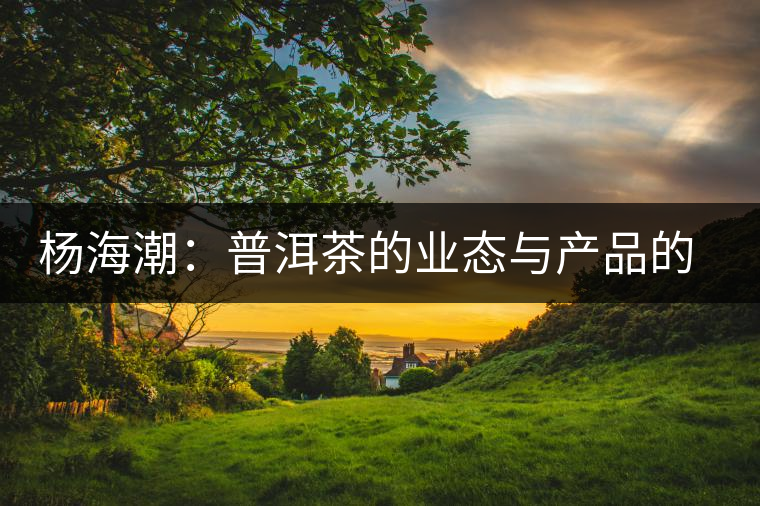 楊海潮:普洱茶的業(yè)態(tài)與產(chǎn)品的同質(zhì)化 楊海潮:普洱茶的業(yè)態(tài)與產(chǎn)品的同質(zhì)化