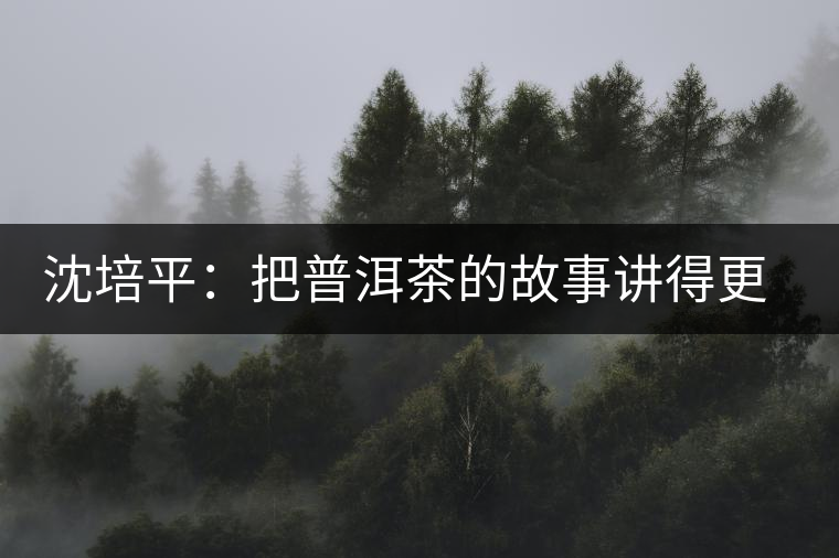 沈培平:把普洱茶的故事講得更精彩 沈培平:把普洱茶的故事講得更精彩