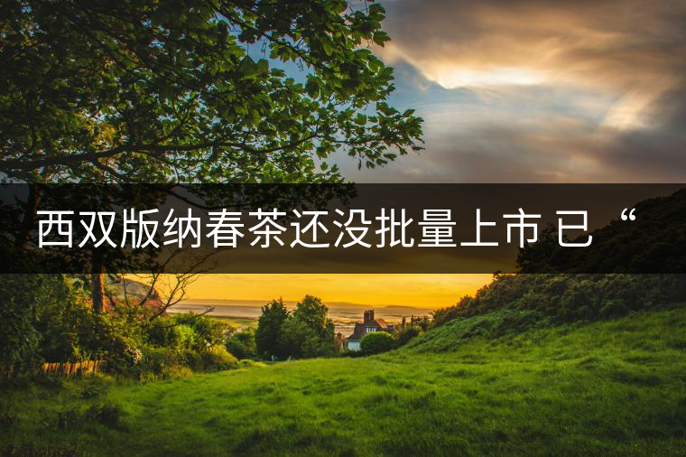 西雙版納春茶還沒(méi)批量上市 已“漲”聲四起 西雙版納春茶還沒(méi)批量上市 已“漲”聲四起