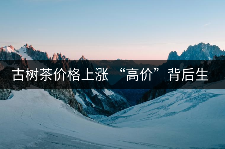 古樹茶價(jià)格上漲 “高價(jià)”背后生態(tài)環(huán)境令人擔(dān)憂 古樹茶價(jià)格上漲 “高價(jià)”背后生態(tài)環(huán)境令人擔(dān)憂