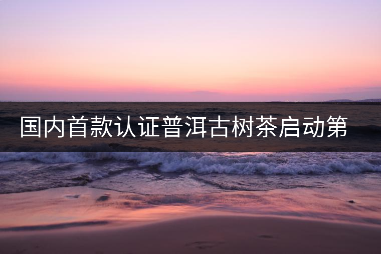 國內(nèi)首款認(rèn)證普洱古樹茶啟動第二期掛牌發(fā)售 國內(nèi)首款認(rèn)證普洱古樹茶啟動第二期掛牌發(fā)售