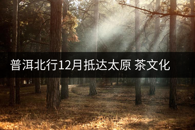 普洱北行12月抵達太原 茶文化交流再掀高潮 普洱北行12月抵達太原 茶文化交流再掀高潮