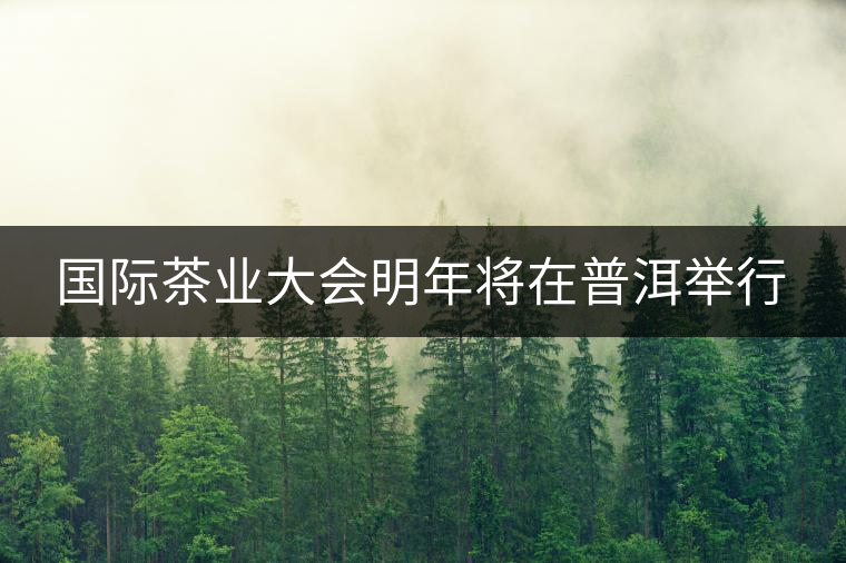 國際茶業(yè)大會明年將在普洱舉行 國際茶業(yè)大會明年將在普洱舉行