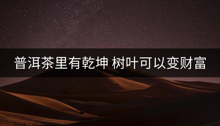 普洱茶里有乾坤 樹葉可以變財富