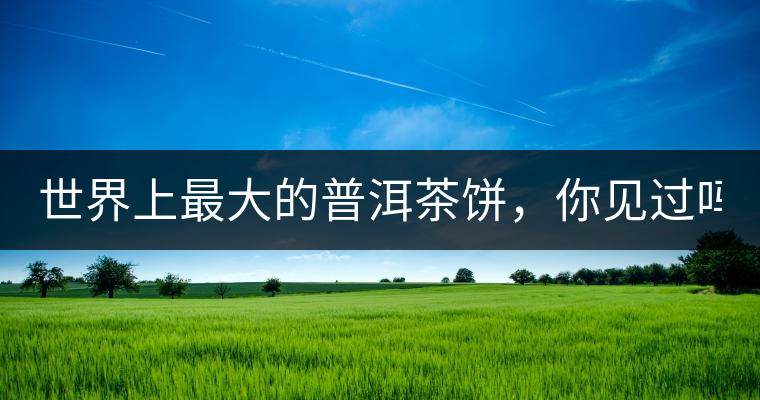 世界上最大的普洱茶餅，你見過嗎？