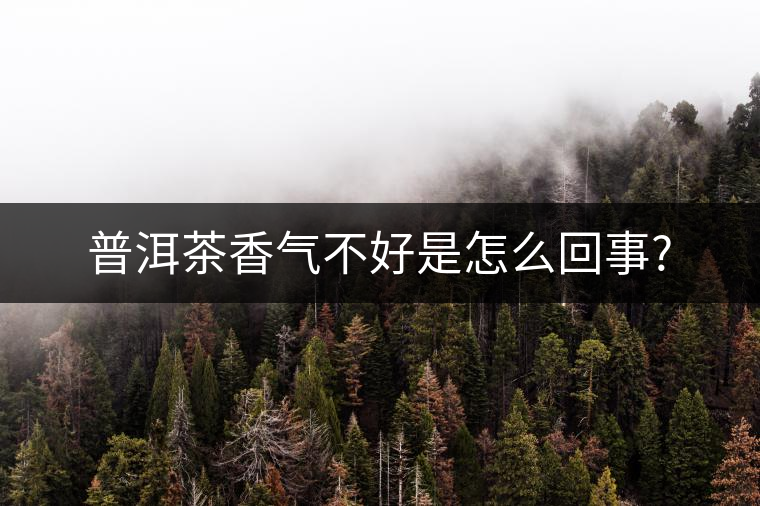 普洱茶香氣不好是怎么回事? 普洱茶香氣不好是怎么回事?
