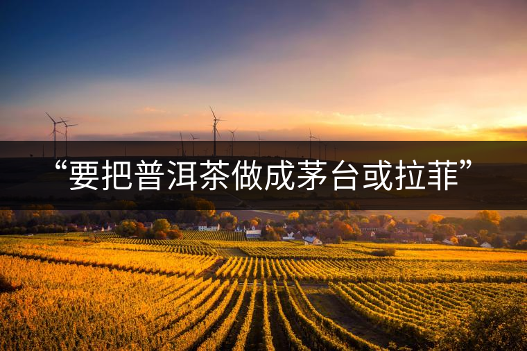 “要把普洱茶做成茅臺(tái)或拉菲” “要把普洱茶做成茅臺(tái)或拉菲”