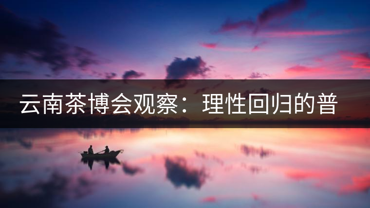 云南茶博會觀察:理性回歸的普洱茶 云南茶博會觀察:理性回歸的普洱茶