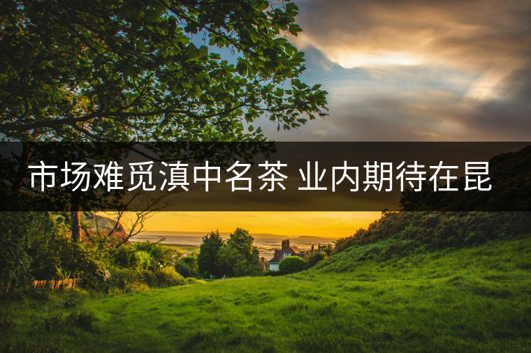 市場(chǎng)難覓滇中名茶 業(yè)內(nèi)期待在昆明建茶葉總部經(jīng)濟(jì)區(qū) 市場(chǎng)難覓滇中名茶 業(yè)內(nèi)期待在昆明建茶葉總部經(jīng)濟(jì)區(qū)