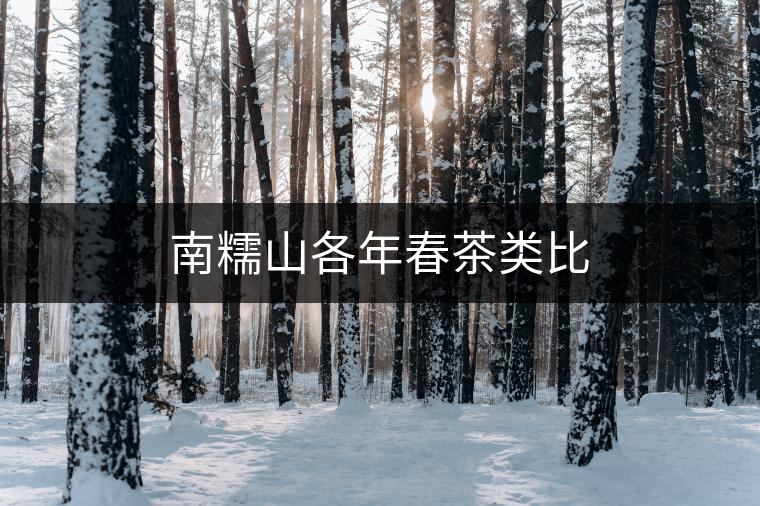 南糯山各年春茶類比 南糯山各年春茶類比