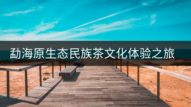 勐海原生態(tài)民族茶文化體驗(yàn)之旅拉開序幕 勐海原生態(tài)民族茶文化體驗(yàn)之旅拉開序幕