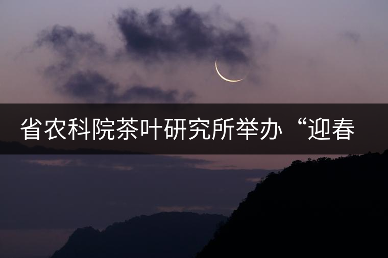 省農(nóng)科院茶葉研究所舉辦“迎春節(jié)、慶元旦”籃球聯(lián)誼賽