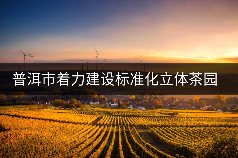 普洱市著力建設(shè)標準化立體茶園示范區(qū)