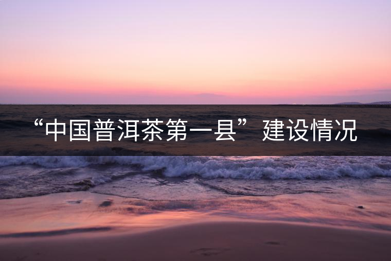 “中國普洱茶第一縣”建設(shè)情況匯報(bào)