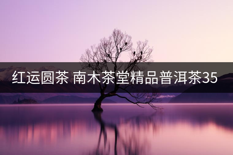 紅運圓茶 南木茶堂精品普洱茶357克熟餅