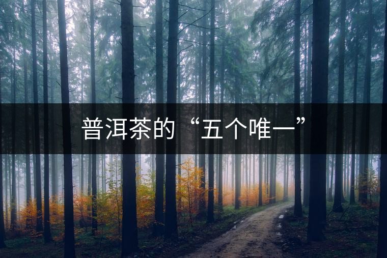 普洱茶的“五個唯一” 普洱茶的“五個唯一”