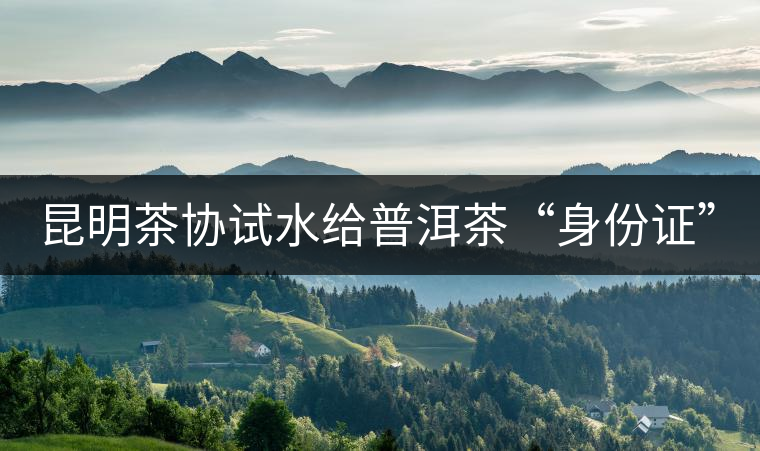 昆明茶協(xié)試水給普洱茶“身份證” 昆明茶協(xié)試水給普洱茶“身份證”