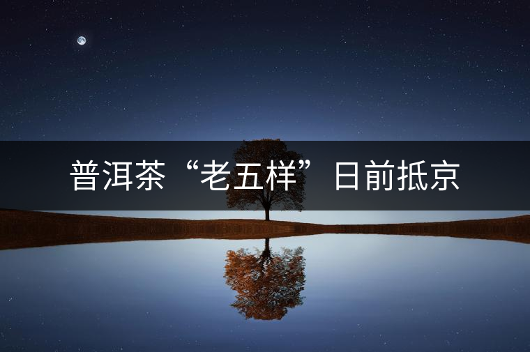 普洱茶“老五樣”日前抵京 普洱茶“老五樣”日前抵京
