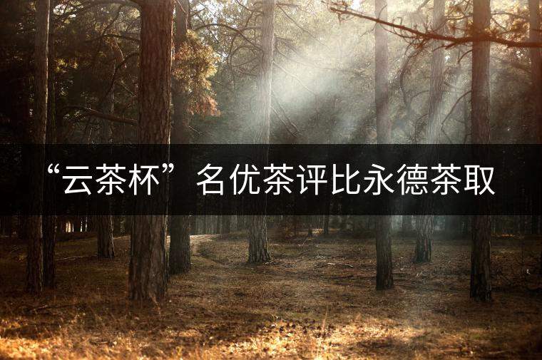 “云茶杯”名優(yōu)茶評比永德茶取得豐碩成果 “云茶杯”名優(yōu)茶評比永德茶取得豐碩成果
