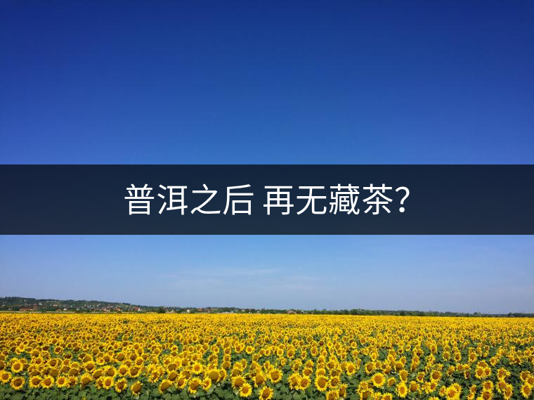 普洱之后 再無(wú)藏茶？