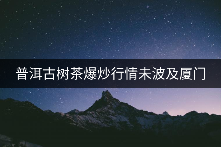 普洱古樹茶爆炒行情未波及廈門 普洱古樹茶爆炒行情未波及廈門