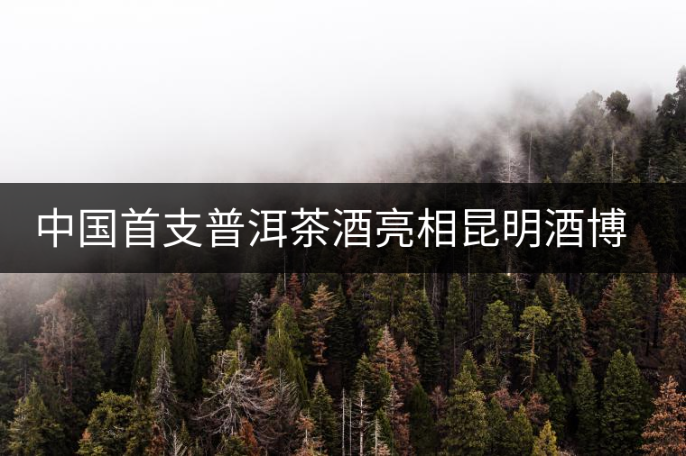 中國首支普洱茶酒亮相昆明酒博會(huì) 中國首支普洱茶酒亮相昆明酒博會(huì)