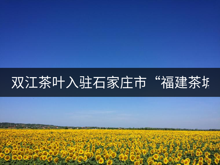 雙江茶葉入駐石家莊市“福建茶城” 雙江茶葉入駐石家莊市“福建茶城”