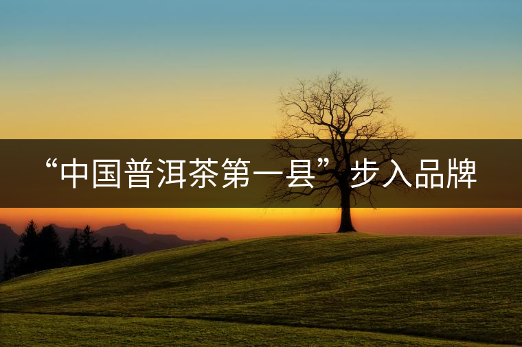 “中國普洱茶第一縣”步入品牌時(shí)代