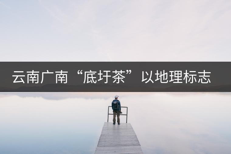 云南廣南“底圩茶”以地理標(biāo)志品牌闖市場 云南廣南“底圩茶”以地理標(biāo)志品牌闖市場