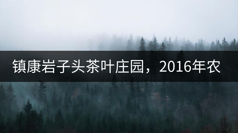 鎮(zhèn)康巖子頭茶葉莊園，2016年農(nóng)業(yè)產(chǎn)值達(dá)6000余萬元