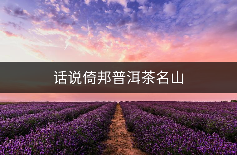 話說倚邦普洱茶名山 話說倚邦普洱茶名山